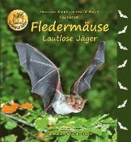 Fledermäuse 1