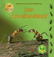 bokomslag Der Ameisenstaat