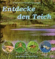 bokomslag Entdecke den Teich