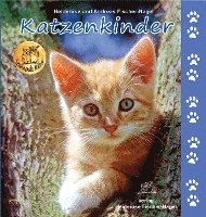 bokomslag Katzenkinder