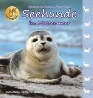 Seehunde im Wattenmeer 1