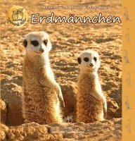 Erdmännchen