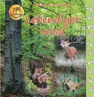 bokomslag Lebendiger Wald
