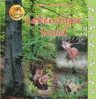 bokomslag Lebendiger Wald