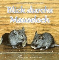 bokomslag Blick durchs Mauseloch