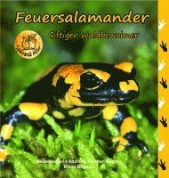 bokomslag Feuersalamander