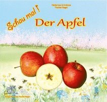 Heiderose Fischer-Nagel - Schau mal! Der Apfel, Inbunden