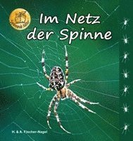 bokomslag Im Netz der Spinne