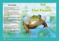 bokomslag Natur-Kamishibai - Der Frosch