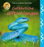 bokomslag Gefährliche Giftschlangen