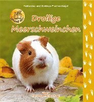 bokomslag Drollige Meerschweinchen