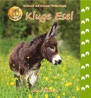 Kluge Esel 1