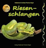 bokomslag Riesenschlangen