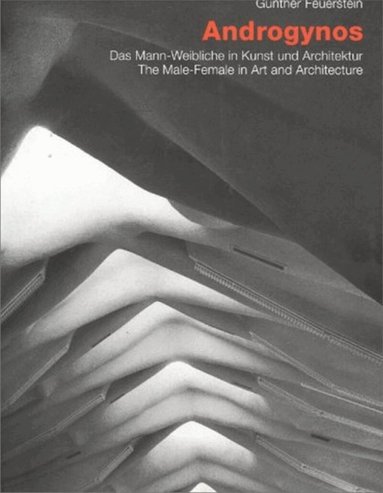 Gunther Feuerstein - Androgynos--The Male-Female in Art and Architecture, Inbunden