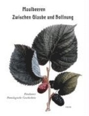 bokomslag Maulbeeren - Zwischen Glaube und Hoffnung