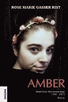 bokomslag Amber