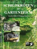 bokomslag Schildkröten im Gartenteich