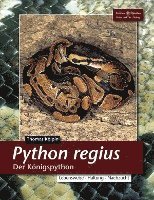 bokomslag Python Regius. Der Königspython
