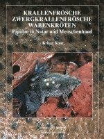 bokomslag Krallenfrösche, Zwergkrallenfrösche, Wabenkröten