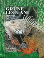 bokomslag Grüne Leguane
