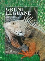 Michael Schardt, Frank Mutschmann, Heiko Werning - Grüne Leguane, Inbunden