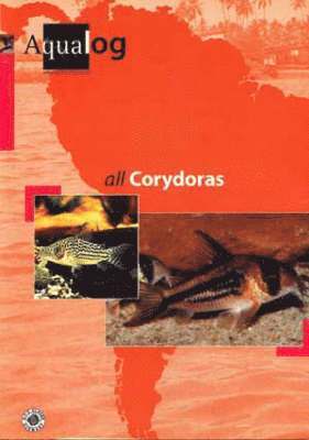 Aqualog All Corydoras 1