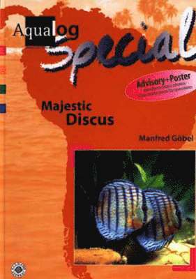 Aqualog Special - Majestic Discus