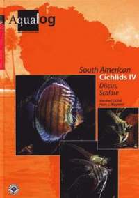 bokomslag Aqualog South American Cichlids IV
