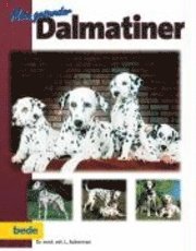 bokomslag Mein gesunder Dalmatiner
