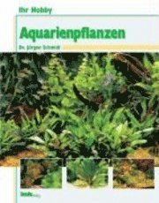 bokomslag Ihr Hobby Aquarienpflanzen