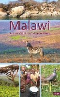bokomslag Malawi