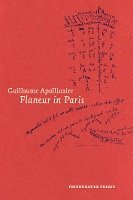 bokomslag Flaneur in Paris
