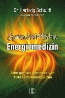 bokomslag Ganzheitliche Energiemedizin