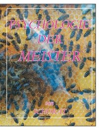 bokomslag Psychologie der Meister