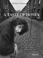 Shelagh Delaney, Tobias Schwartz, André Schwarck - A Taste of Honey, Häftad