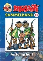 bokomslag MOSAIK Sammelband 11. Festungshaft