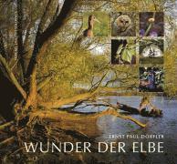 Ernst Paul Dörfler - Wunder der Elbe, Inbunden