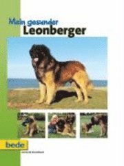 bokomslag Mein gesunder Leonberger