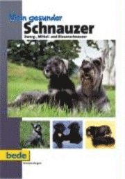 bokomslag Mein gesunder Schnauzer