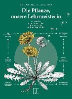 Peter Jentschura, Josef Lohkämper - Die Pflanze, unsere Lehrmeisterin, Inbunden