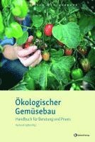 bokomslag Ökologischer Gemüsebau