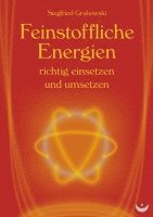 bokomslag Feinstoffliche Energien richtig einsetzen und umsetzen