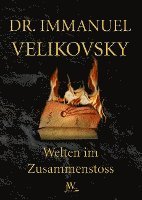 bokomslag Welten im Zusammenstoss