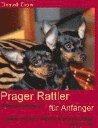 bokomslag Prager Rattler (Prazskÿ krysarík) für Anfänger: Auswahl und Kauf, Haltung, Erziehung, Pflege