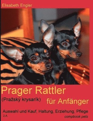 bokomslag Prager Rattler (Prazsk krysark) fr Anfnger