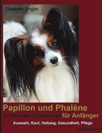 bokomslag Papillon und Phalne (Kontinentaler Zwergspaniel) fr Anfnger