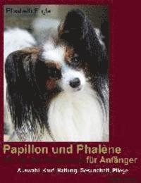 bokomslag Papillon und Phalène (Kontinentaler Zwergspaniel) für Anfänger: Kauf, Auswahl, Haltung, Gesundheit, Pflege