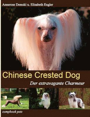 Chinese Crested Dog 1