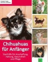 bokomslag Chihuahuas für Anfänger