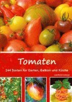 Tomaten 1